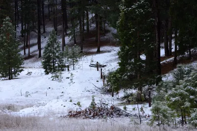 DSC_0829 (Large).JPG